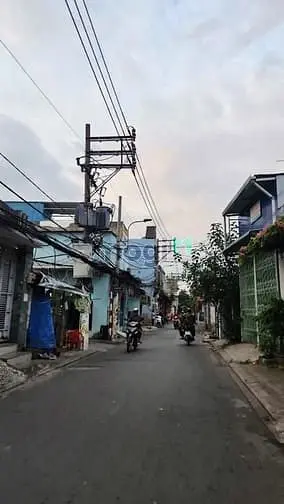 6011972 ảnh đại diện 1