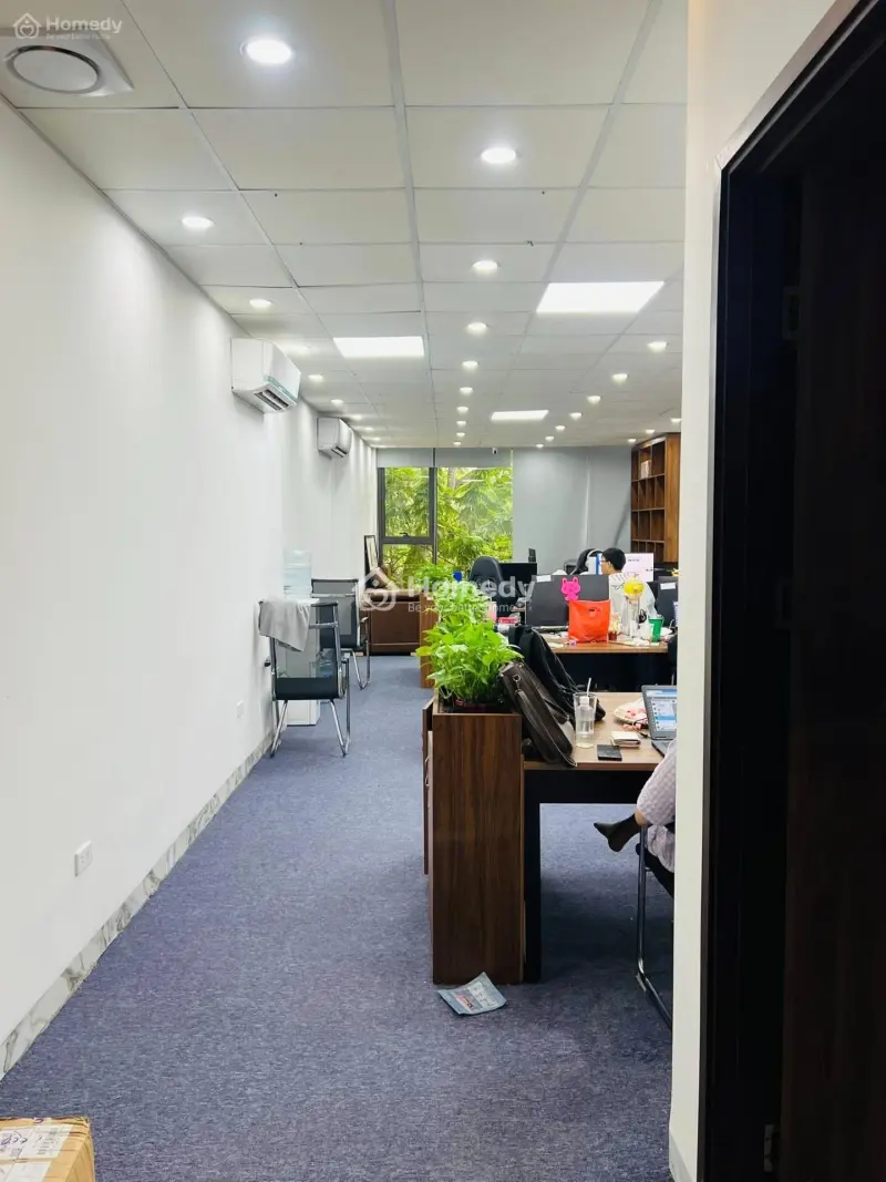 6013762 ảnh đại diện 1