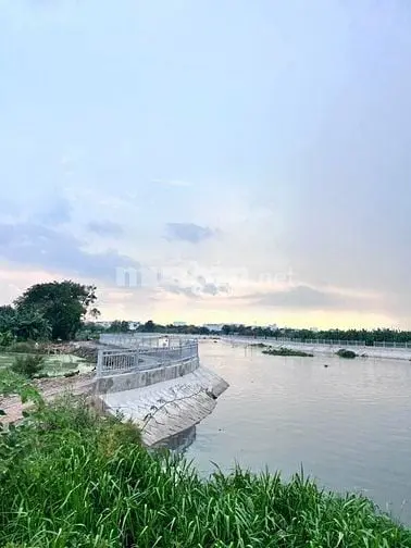 Lốc 6 Lô Còn 4 Mt Sông Vàm Thuật . Đường Đang Làm.gía Đầu Tư