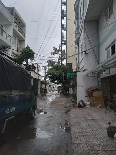 6009180 ảnh đại diện 1