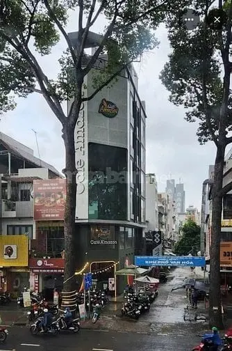 6011605 ảnh đại diện 1