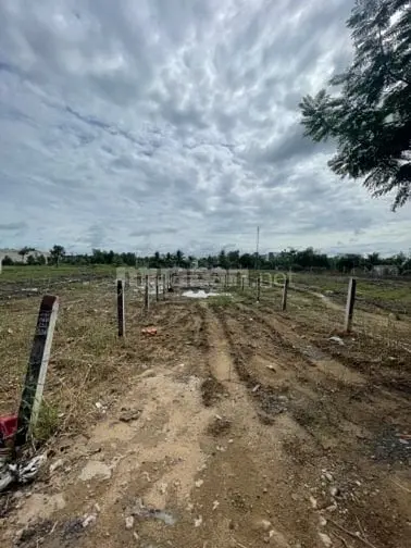 Bán Lô Đất Làm Nhà Vườn Dt 125M2 Đối Diện Ecity Tân Đức