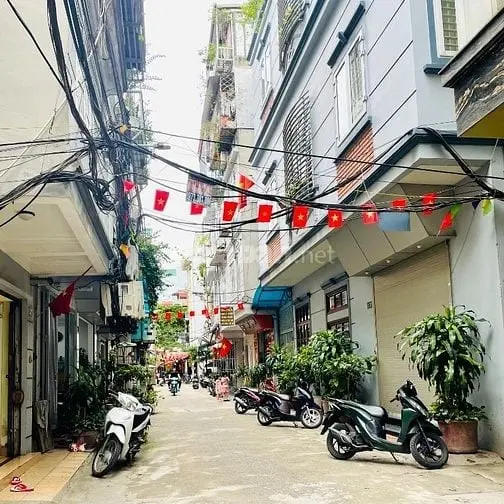 6013812 ảnh đại diện 1