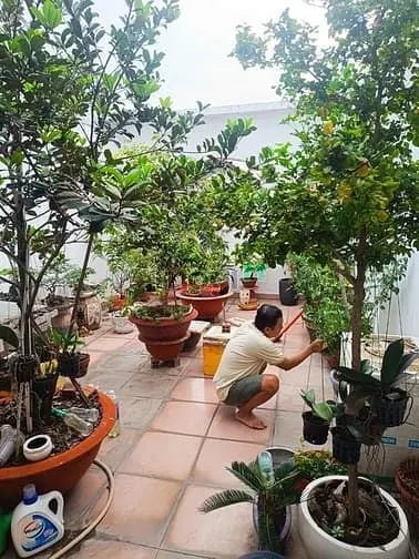Mặt Tiền 4 Tầng Kinh Đỉnh – Cạnh Parc Maill Cao Lỗ – Sát Bệnh Viện Q8