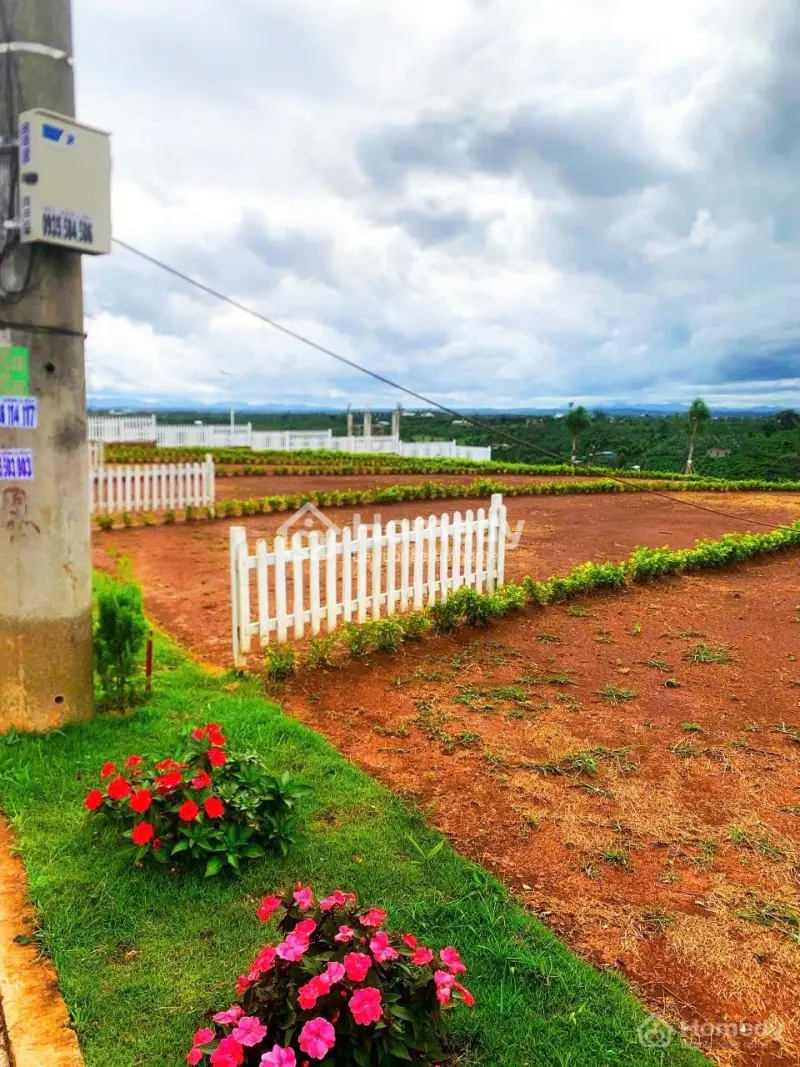 Đầu Tư Hôm Nay Sinh Lời Ngày Mai 699Tr/Nền Sổ Riêng Cách Quốc Lộ 20 Chỉ 3Km