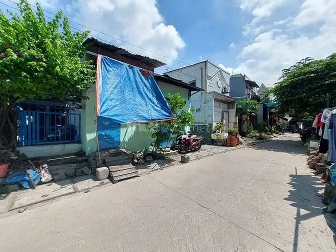 6011602 ảnh đại diện 1