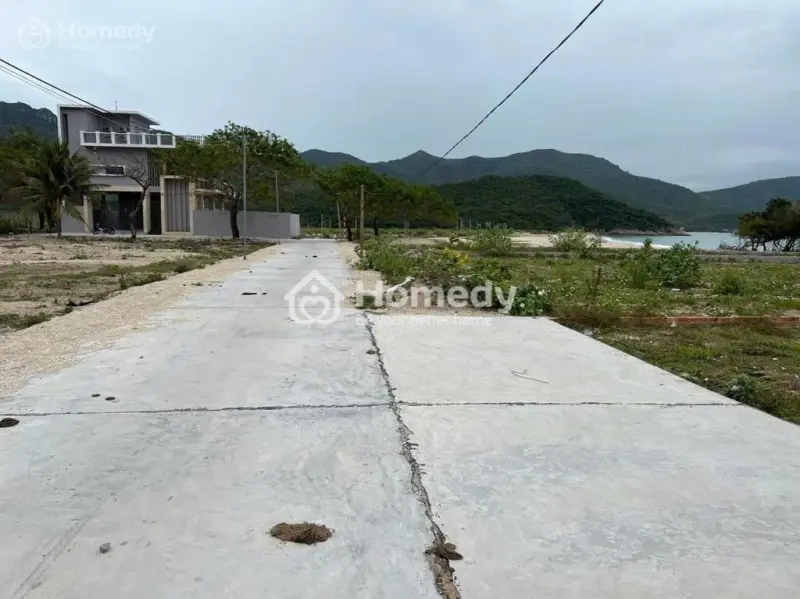 6011265 ảnh đại diện 1