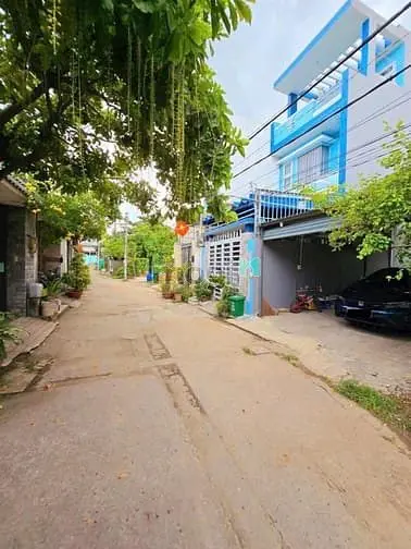 6012709 ảnh đại diện 1