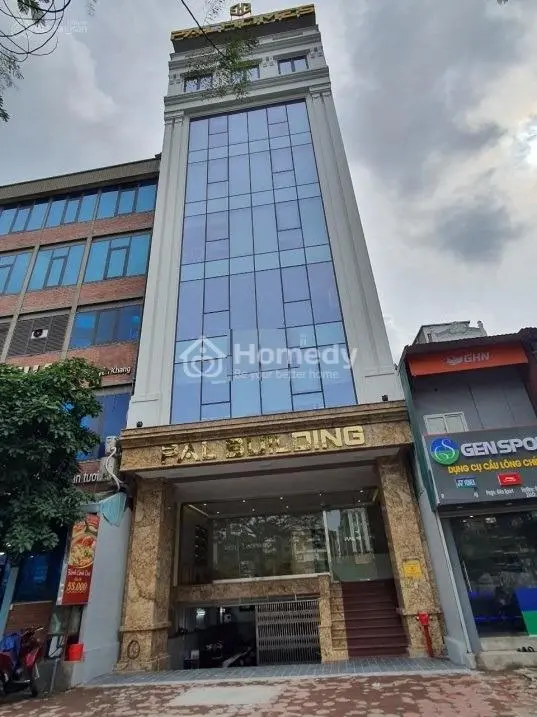 4462023 ảnh đại diện 1