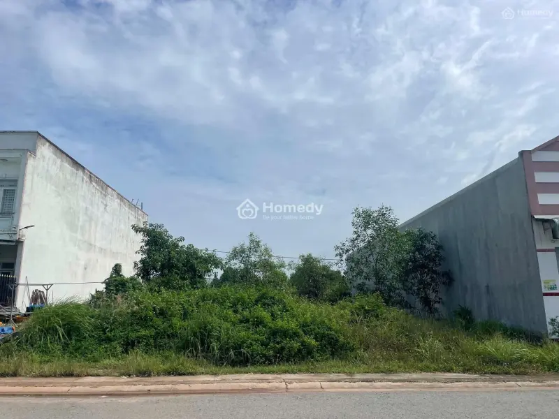 6013765 ảnh đại diện 1