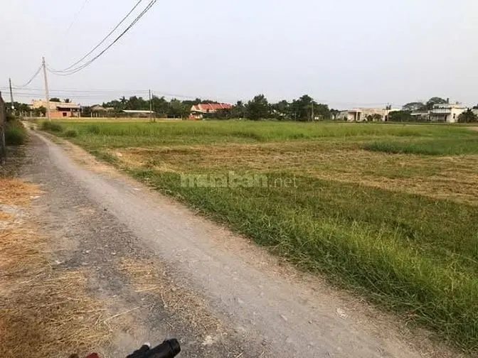 Bán Đát Xã Mỷ Hạnh [ Xã Củ Đức Hòa Đông ]