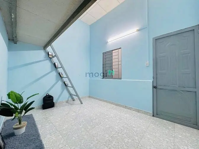 6011637 ảnh đại diện 1