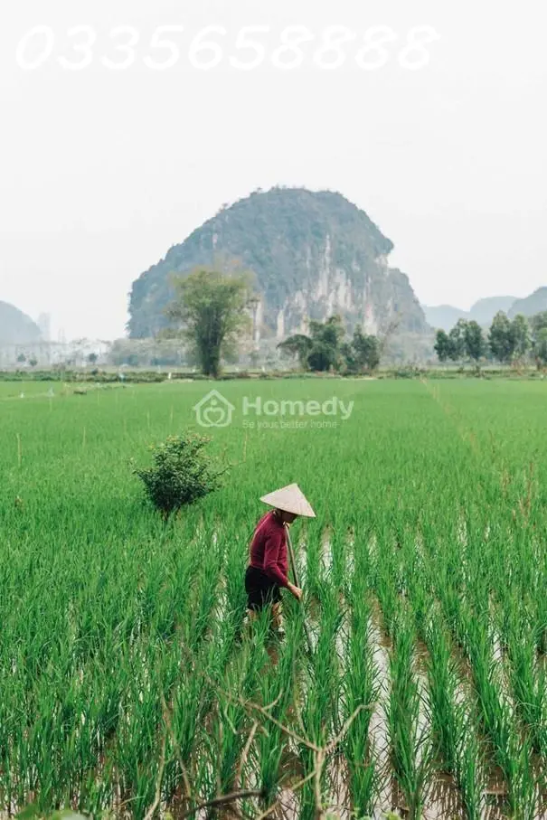 Review Du Lịch Hòa Bình: Trải Nghiệm "Vịnh Hạ Long Trên Cạn"