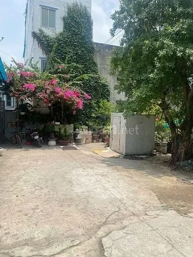 6013574 ảnh đại diện 1