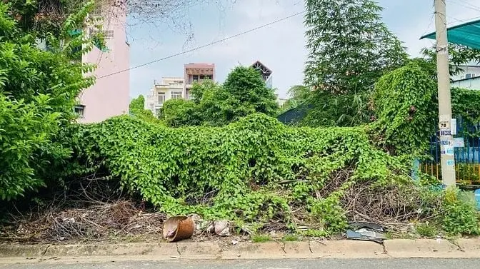 6012604 ảnh đại diện 1