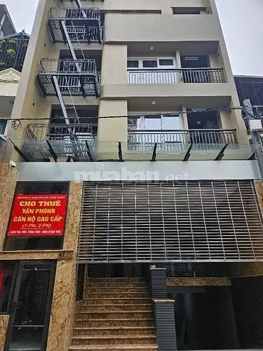 6013847 ảnh đại diện 1