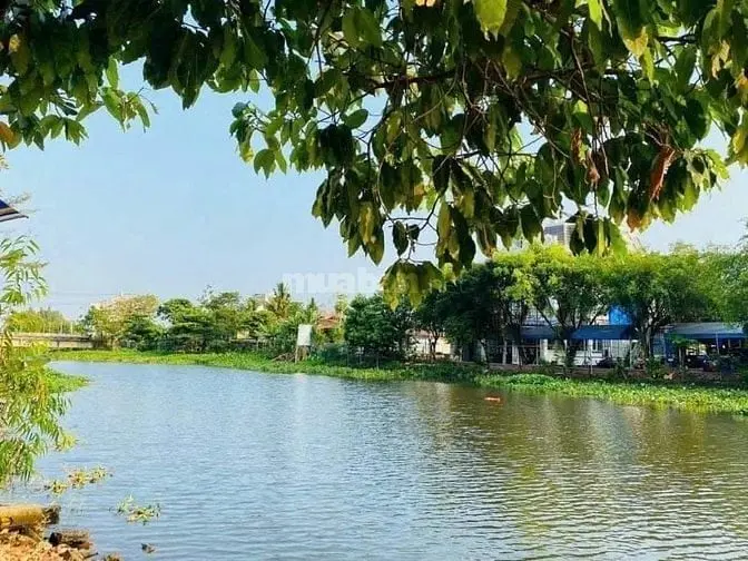 6011570 ảnh đại diện 1