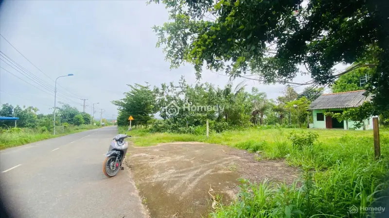 6013660 ảnh đại diện 1