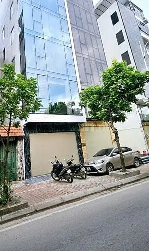 6013686 ảnh đại diện 1