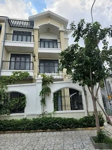 6012740 ảnh đại diện 1