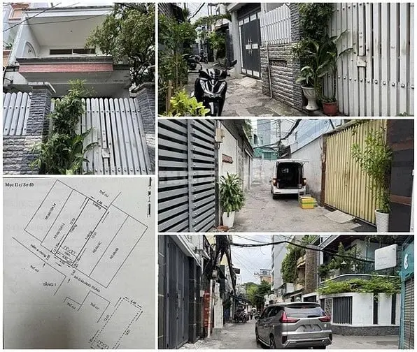 6012146 ảnh đại diện 1