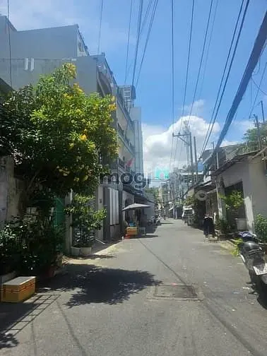 6011399 ảnh đại diện 1