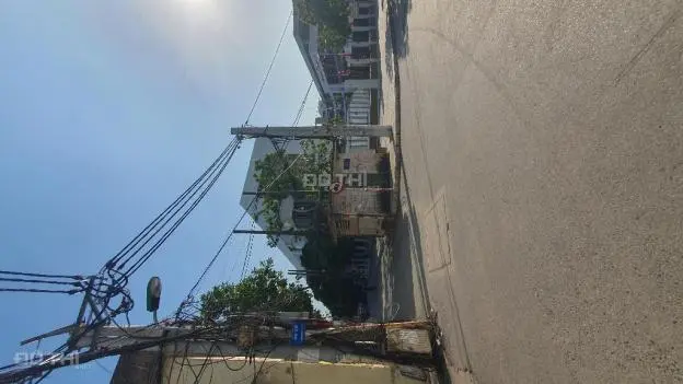 6010526 ảnh đại diện 1