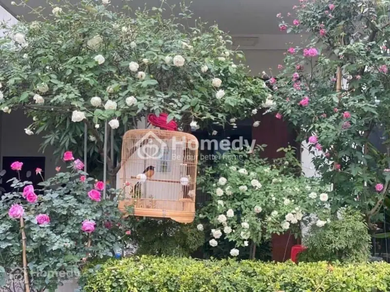 Bán Biệt Thự Hà Nội Garden City - Thạch Bàn, Long Biên. Dt 144M, Mt : 8M