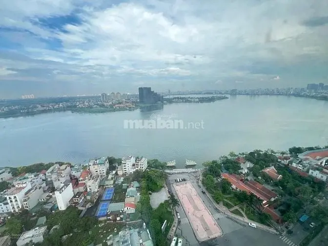 6010919 ảnh đại diện 1