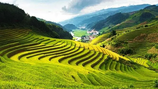 💥💥💥 Cực Hiếm, Bán Đất Tặng Homestay Ngay Trung Tâm Sapa, Gần 3000M2