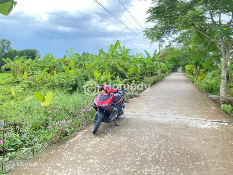 6013819 ảnh đại diện 1