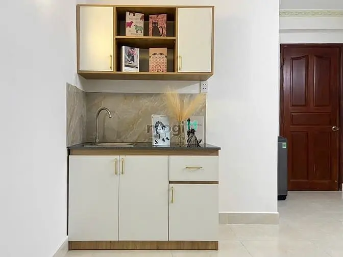 Cho Thuê Căn Hộ Dịch Vụ, Chung Cư Mini Quận 7 Full Nt,Cửa Sổ Thoáng