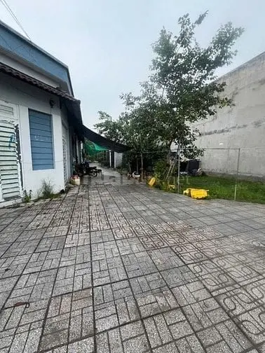 6010149 ảnh đại diện 1