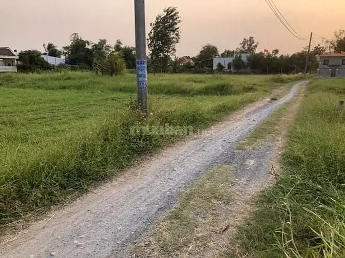 6013814 ảnh đại diện 1