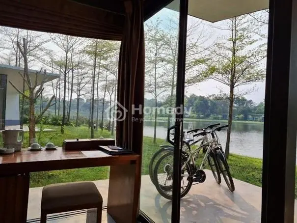 Hot! Tại Sao Nên Đầu Tư Hòa Bình Ngay Lúc Này?