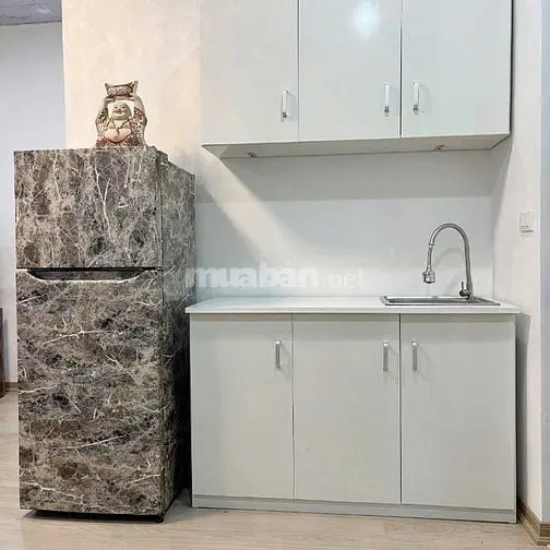 Cho Thuê Cả Nhà Hoặc Từng Căn Hộ Dịch Vụ, Số 46 Phố Nam Ngư-Hoàn Kiếm