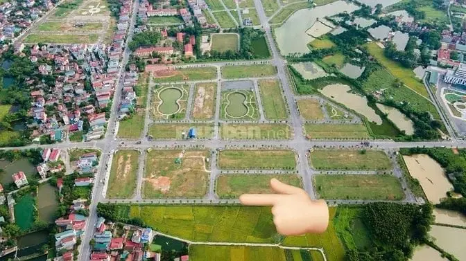 6013889 ảnh đại diện 1