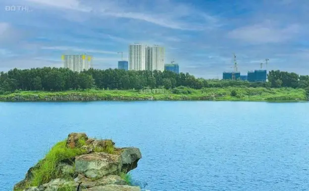 6014191 ảnh đại diện 1