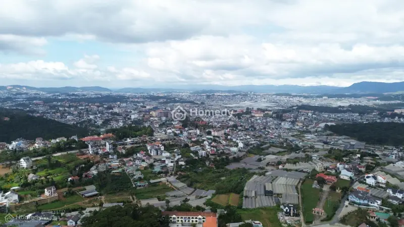 6014313 ảnh đại diện 1