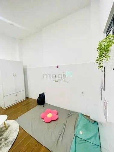6013960 ảnh đại diện 1