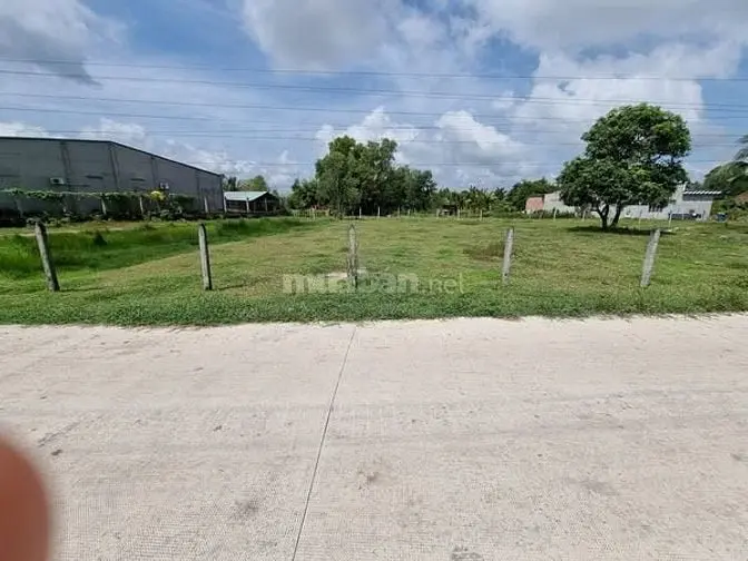 6013973 ảnh đại diện 1