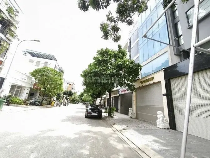 6013877 ảnh đại diện 1