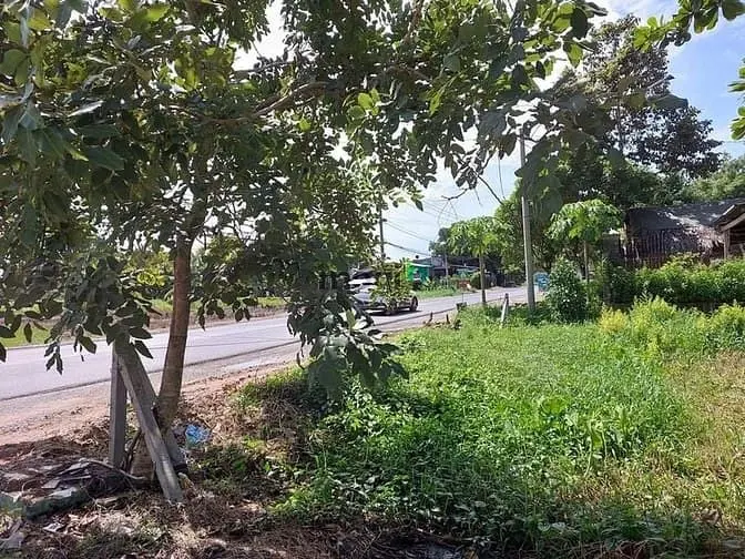 6013944 ảnh đại diện 1