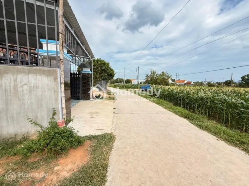 Bán Đất Tuân Thừa, Tân Định, Ninh Hòa, Đường Ô Tô Vi Vu