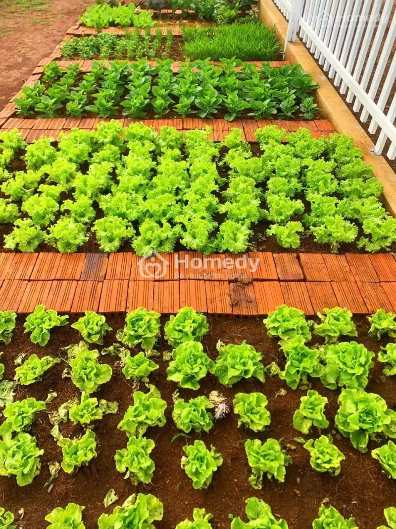 Bán Lô Đất Gần Quốc Lộ 20 Chỉ 3Km Giá 699Tr Pháp Lý Đầy Đủ Sổ Riêng