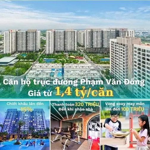 6014219 ảnh đại diện 1