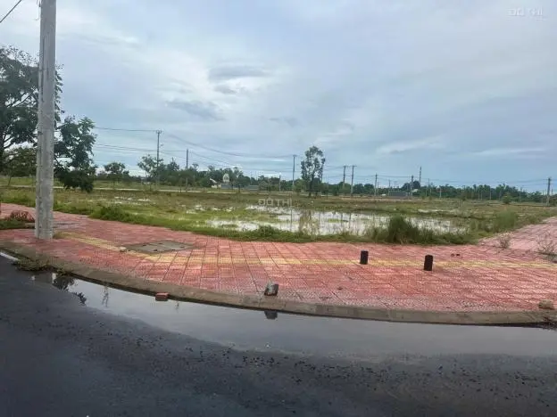 6013968 ảnh đại diện 1