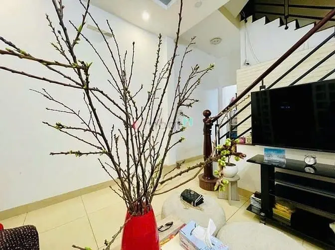 6014241 ảnh đại diện 1