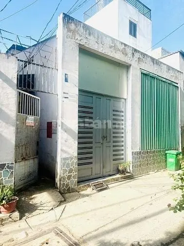 6013939 ảnh đại diện 1