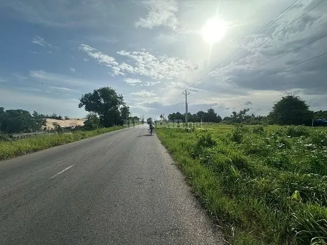 6014159 ảnh đại diện 1